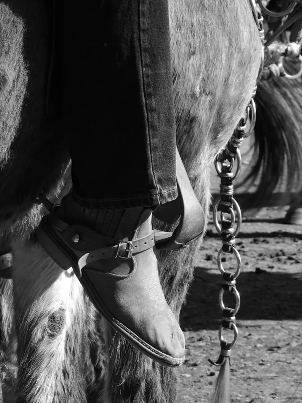 Fotografia em preto e branco, no formato vertical, mostrando um enquadramento aproximado de parte de um carreiro montado sobre um animal, que pode ser um cavalo ou uma mula.