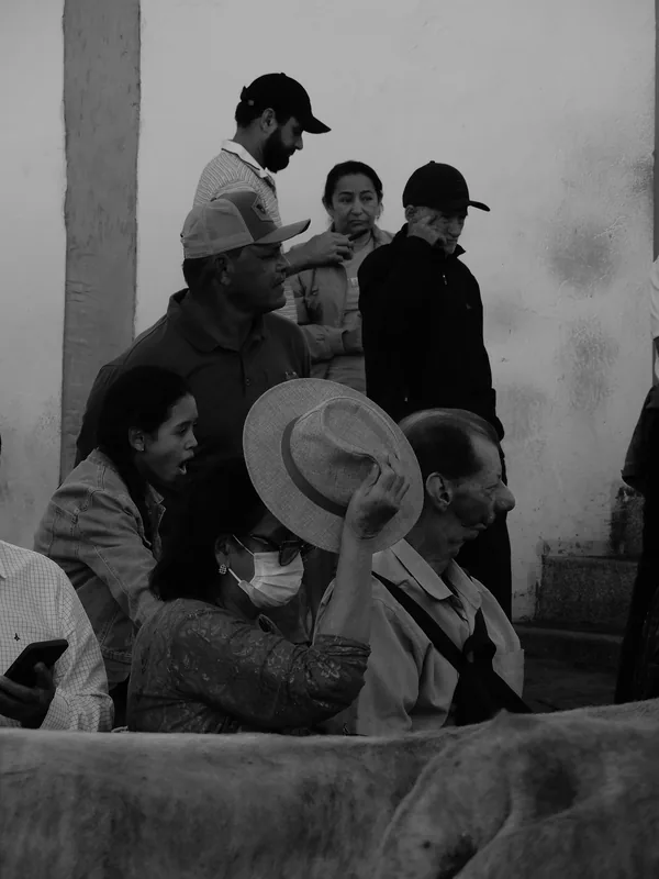 Fotografia em preto e branco, no formato vertical, mostrando um grupo de pessoas reunidas próximas e a passagem de um boi.